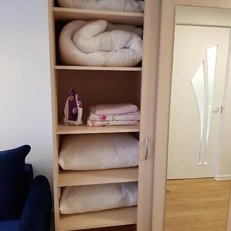 Arieles Apartamentai ヴィリニュス