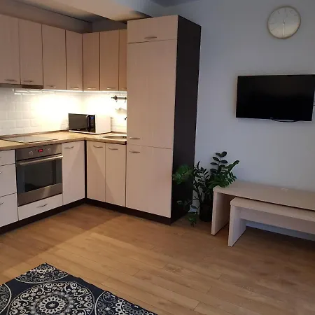 アパート Arieles Apartamentai ヴィリニュス