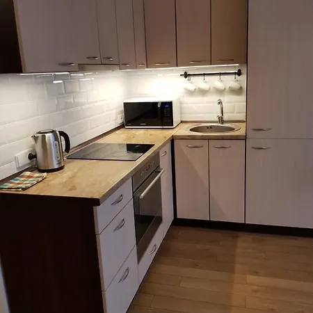 Arieles Apartamentai ヴィリニュス